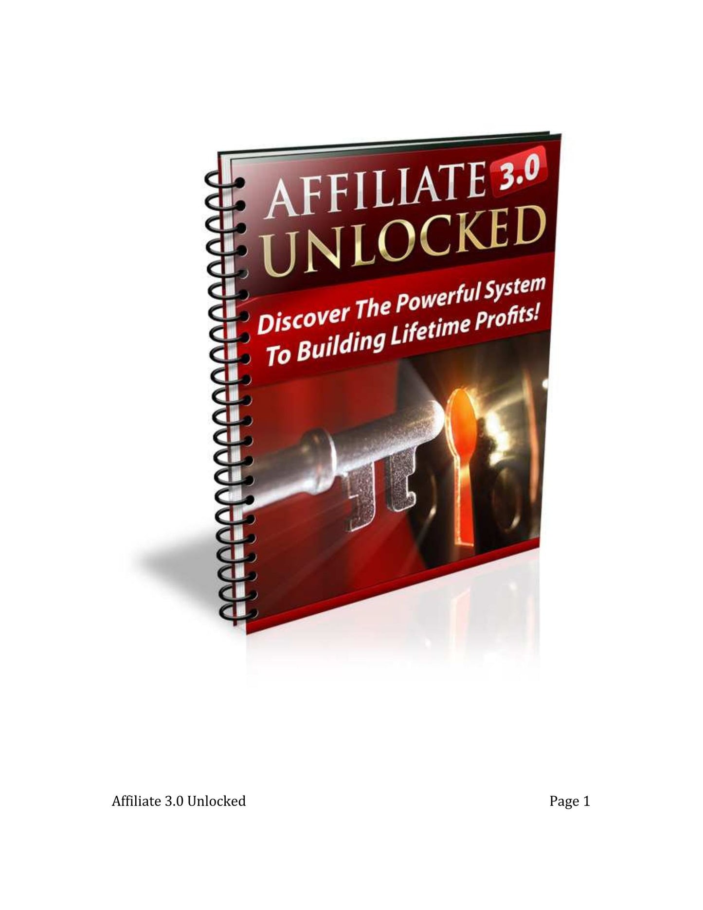 AFFILIATE 3.0 UNLOCKED: Discover the powerful system to building lifetime profits (Affiliate Marketing)